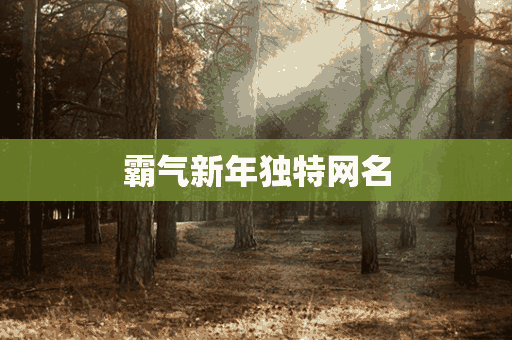 霸气新年独特网名